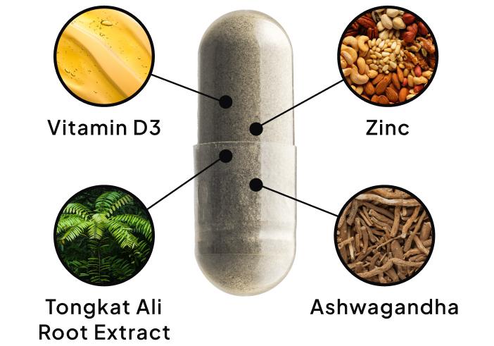 SpiritMax product ingredients